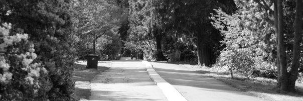 talhabosafi's profile banner image