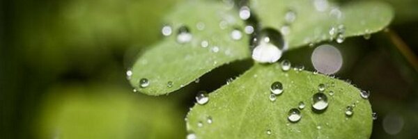 manifestcon Profile Banner