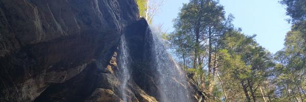 terryliptak Profile Banner