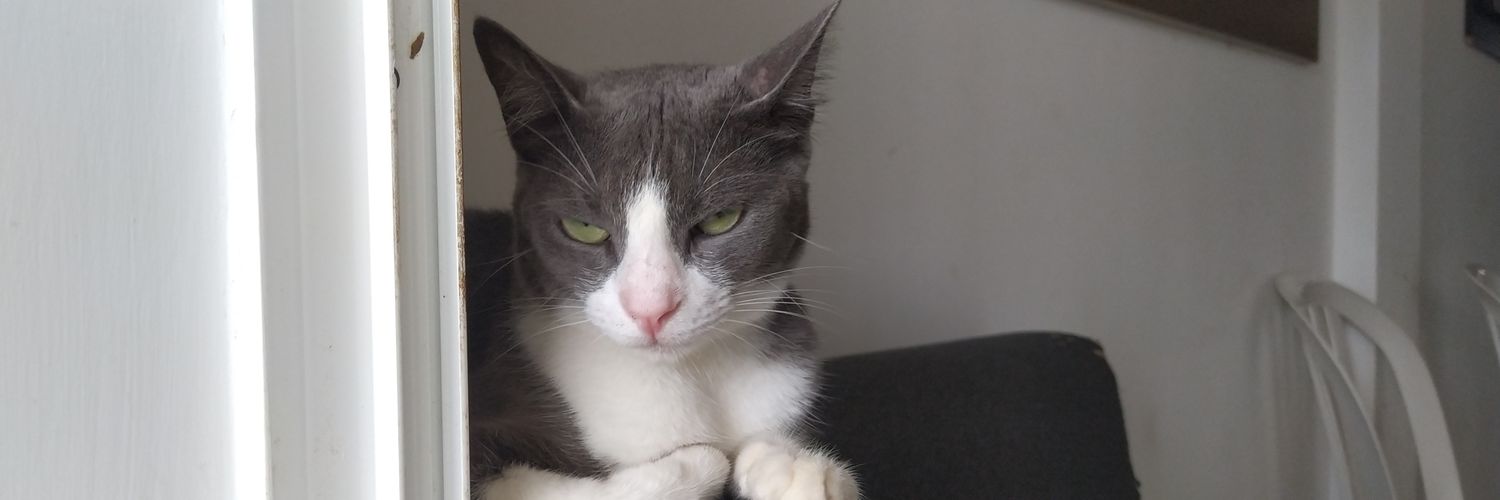 Heekmeth Yassin🇵🇸 banner