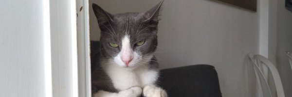 HYassinCo Profile Banner