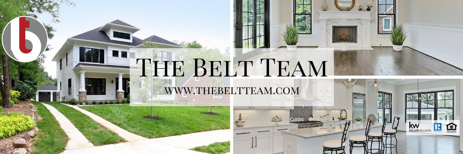TheBeltTeam's profile banner image