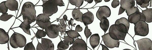 siringa_'s profile banner image