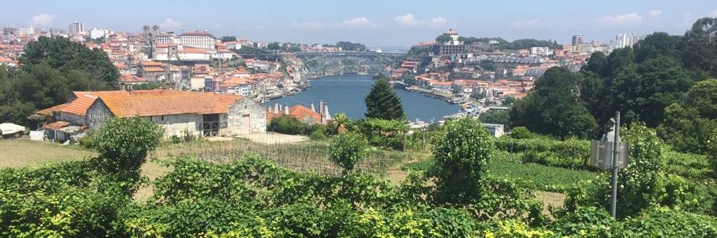 Dan Pritchett banner