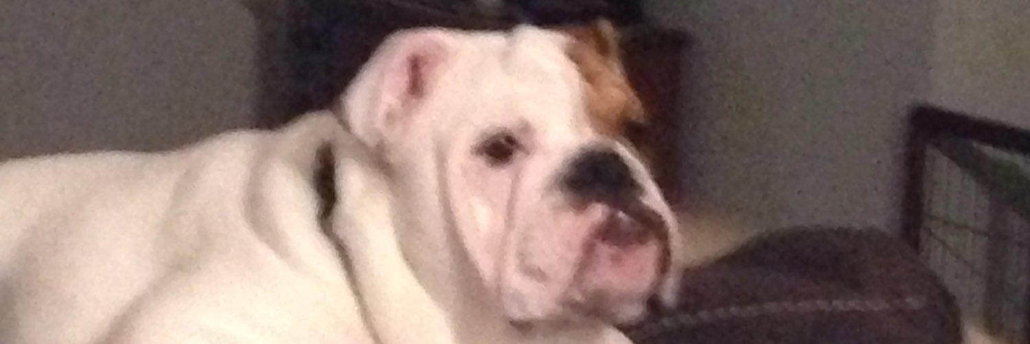 dalton7474's profile banner image