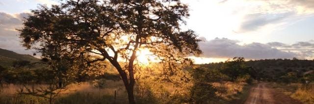 gert pretorius banner