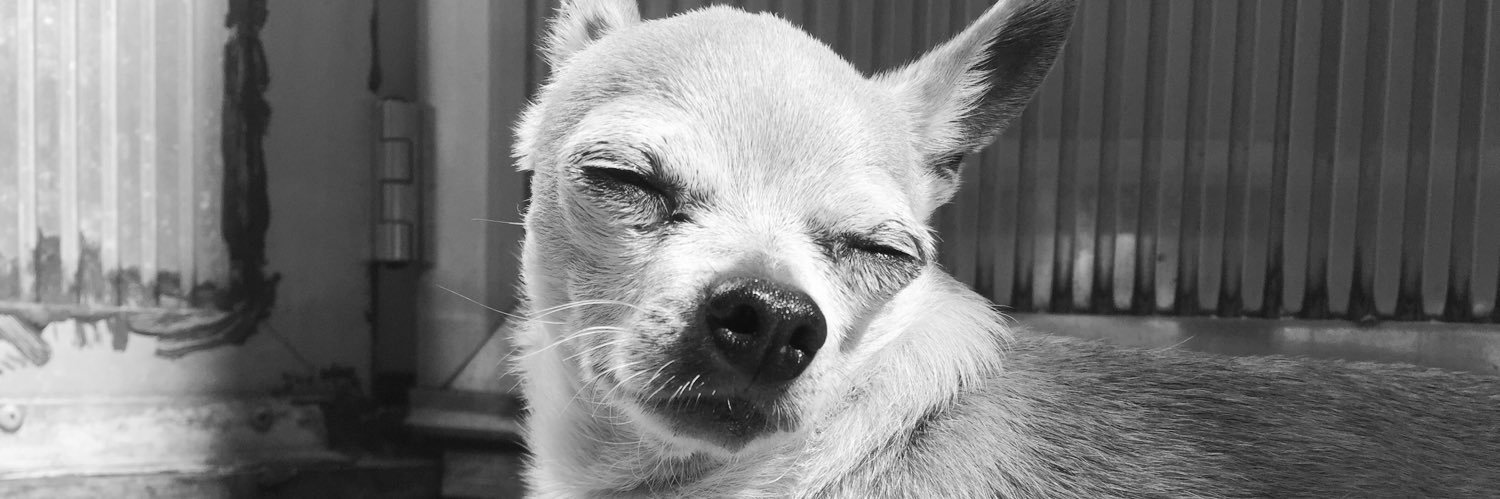 _lelelieko's profile banner image