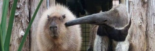 crispyyeets's profile banner image