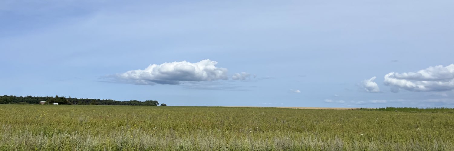 TimmWeb's profile banner image