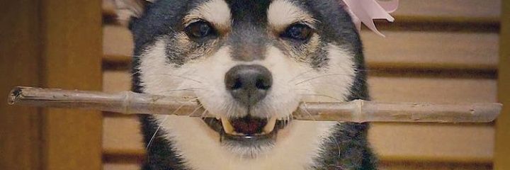 beconhead's profile banner image