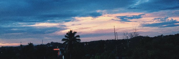 AlondraFranqui's profile banner image