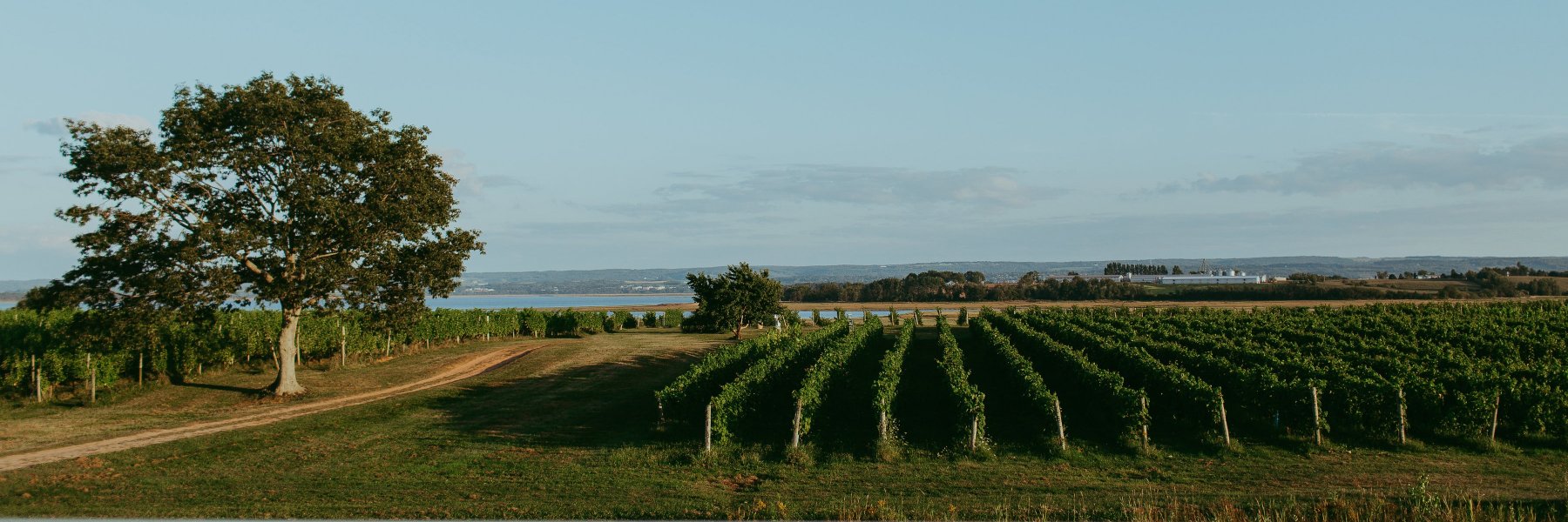 BlomidonEstate's profile banner image
