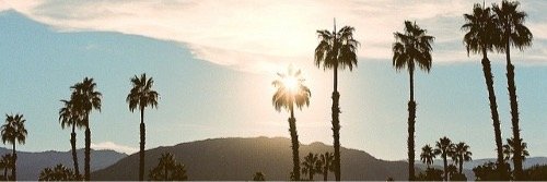 Timara_marie's profile banner image