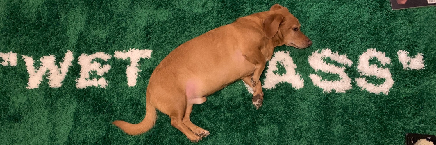 Anna 송희 Lee banner