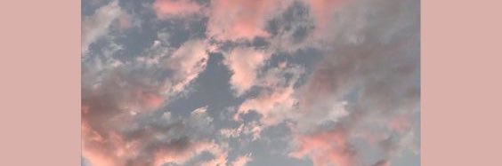 ตัลนี่คิม 🌷🐷🏳️‍🌈 banner