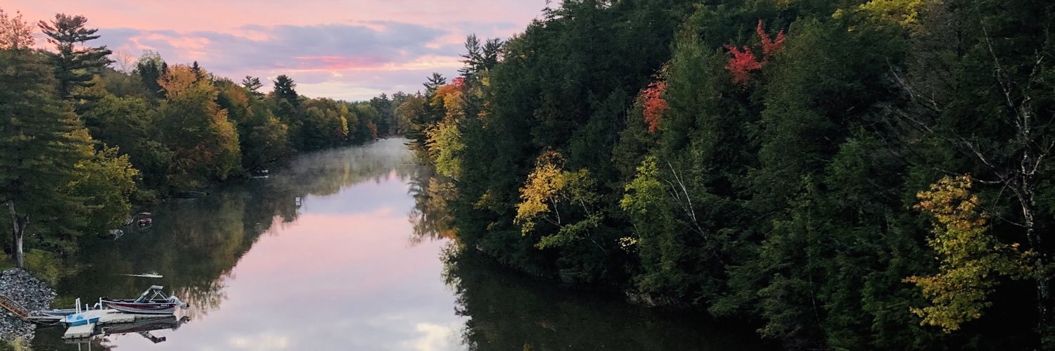 Gesine Freund banner
