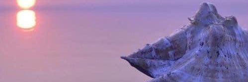 abdullah4111's profile banner image