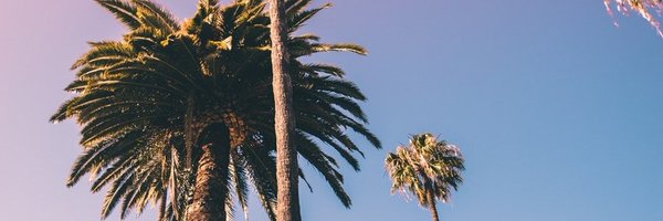 nextleftagency Profile Banner
