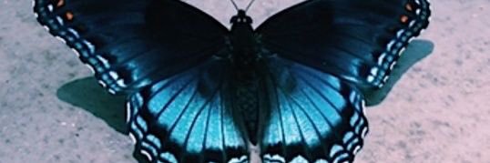 emsparham's profile banner image