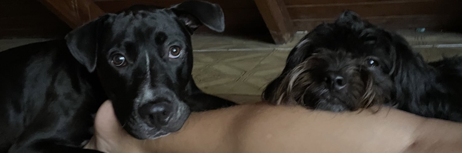 straawberly's profile banner image
