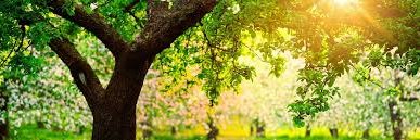 Jessica Grandefeld banner