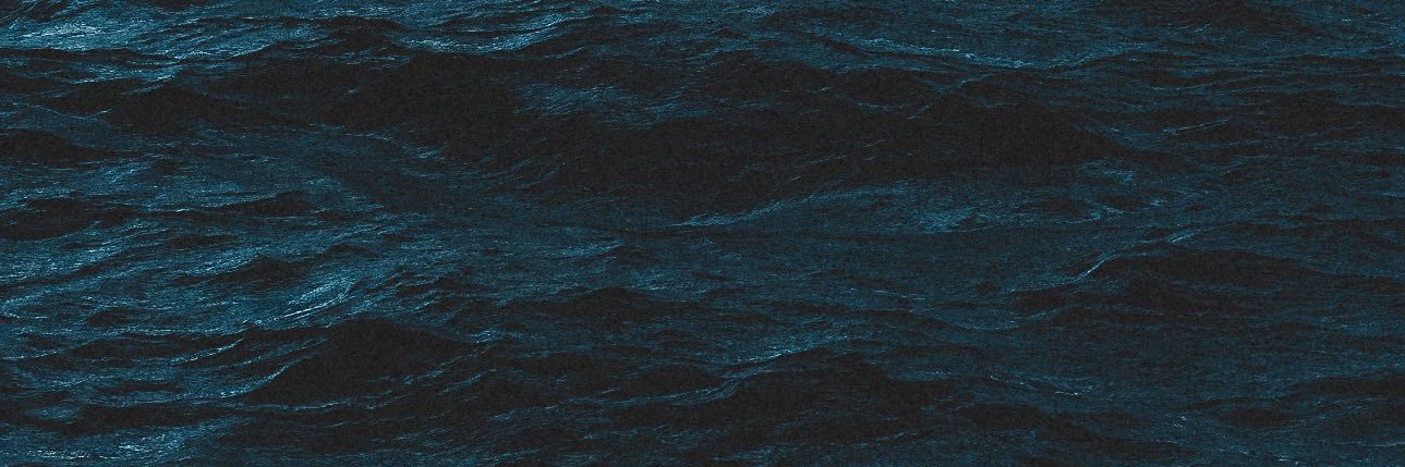 Paisnel banner