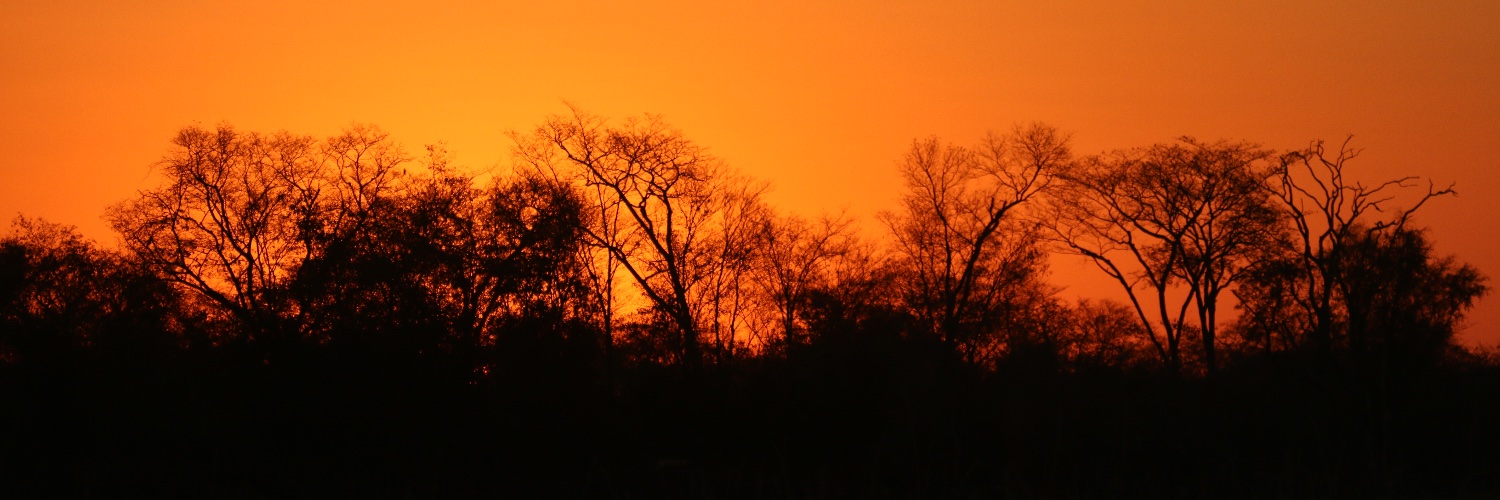 matbishopsa's profile banner image