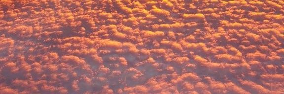 ... banner
