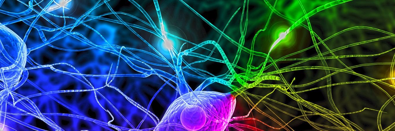 Thomas A Carlson banner