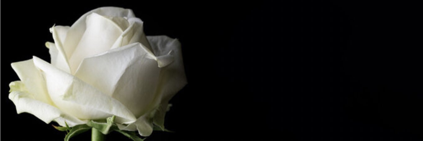 m0xom's profile banner image