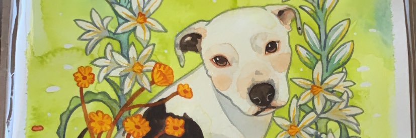 ayyymiss's profile banner image