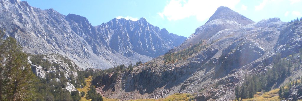 Dr Lauren Marshall banner