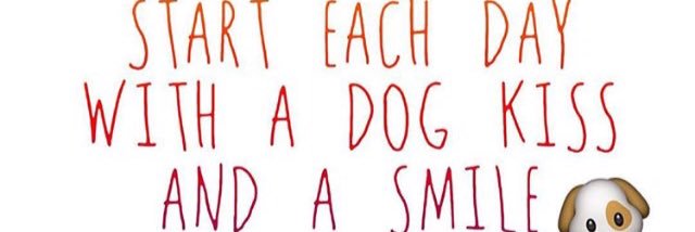 pawsattheport's profile banner image