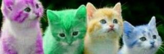apih_devrot's profile banner image