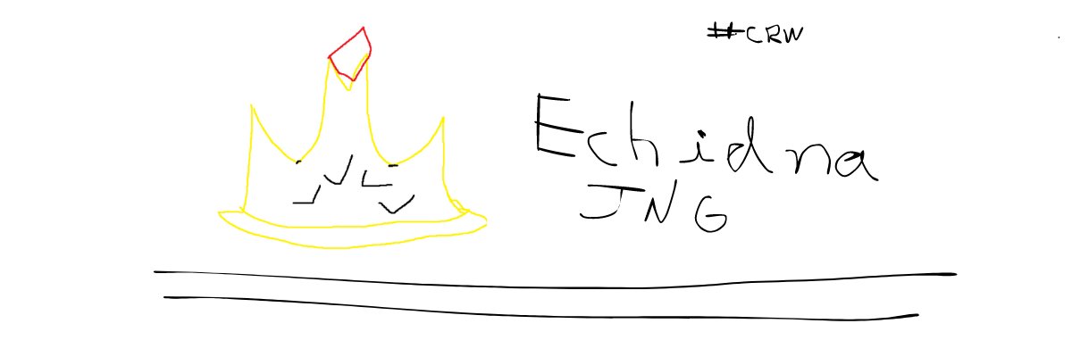 Echidna_Rem's profile banner image