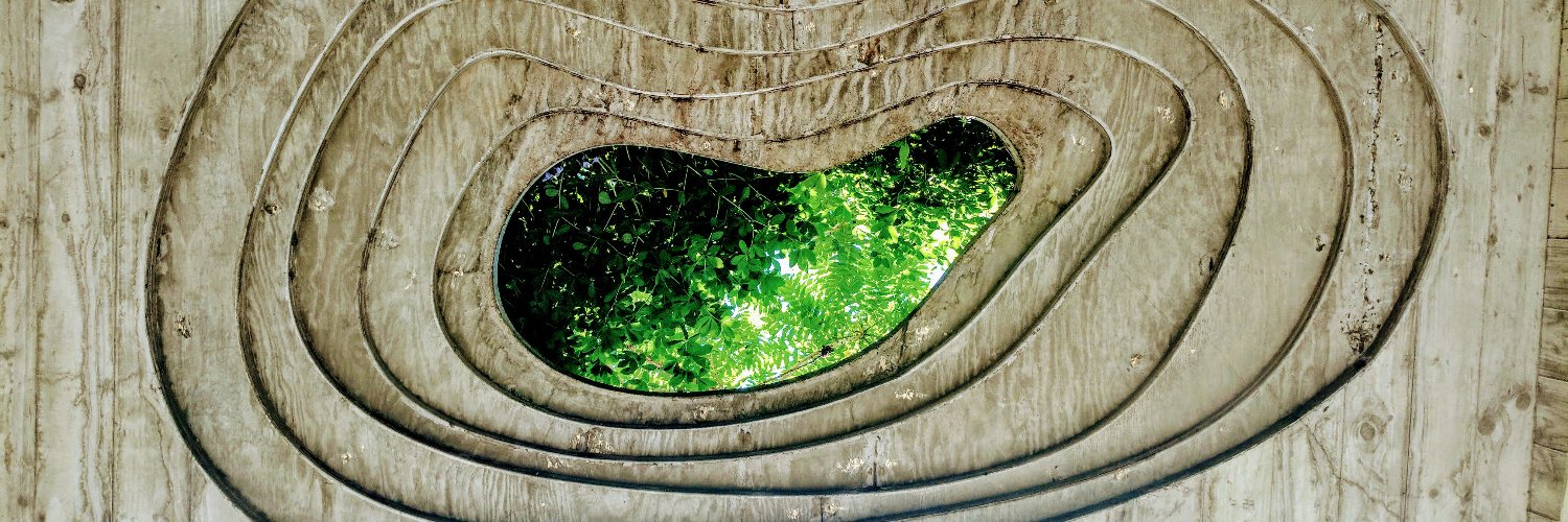 Clairanne Pesce banner