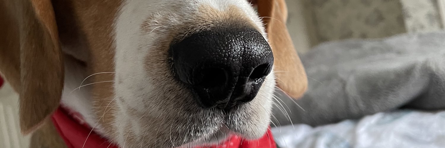 jenna0101's profile banner image