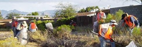 TCBTrees4Tucson's profile banner image