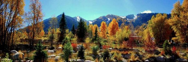 klychock Profile Banner