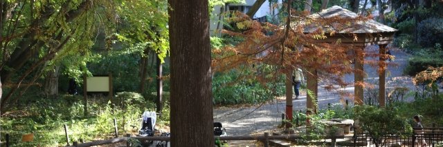ParksRinsi's profile banner image