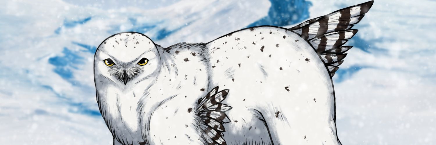 FabooGu's profile banner image