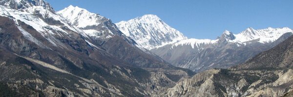 drorwe Profile Banner