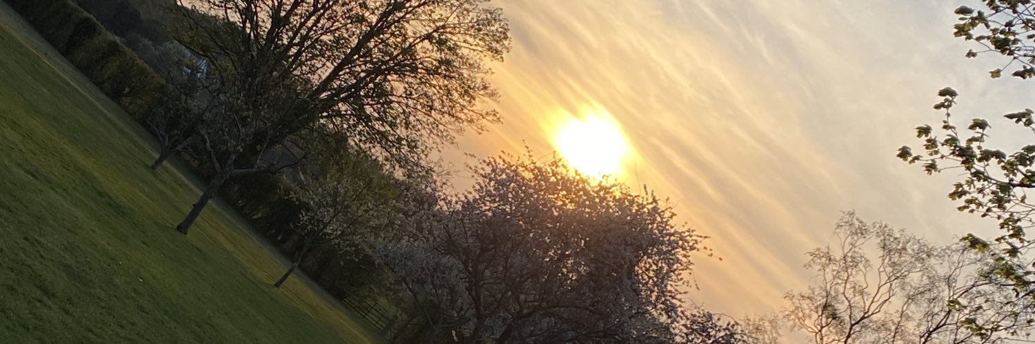 JobNanny's profile banner image