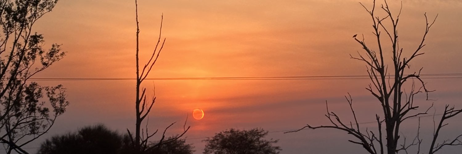 camilumilla's profile banner image