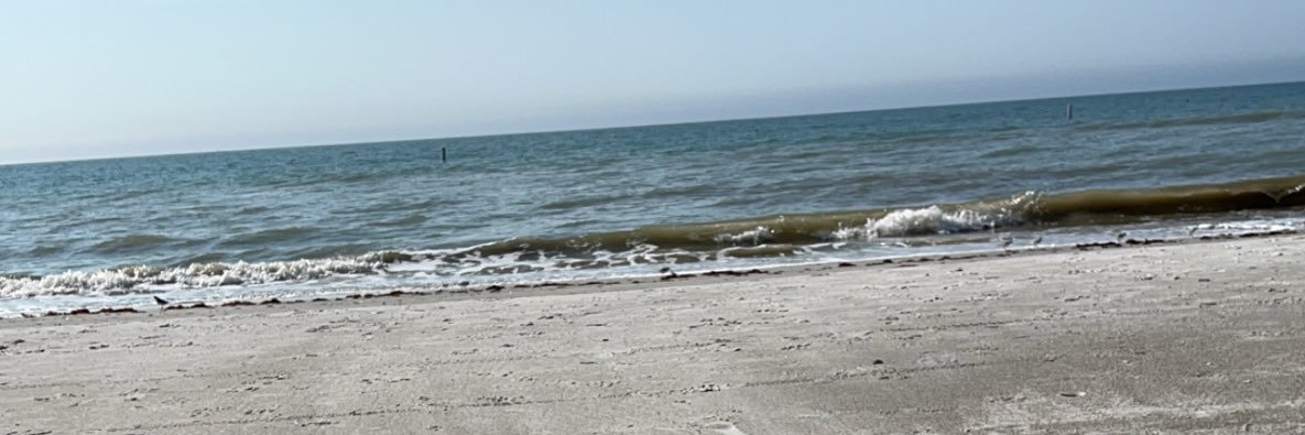 Wayne_voss's profile banner image