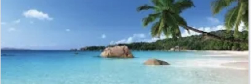 Tracyjayne10's profile banner image