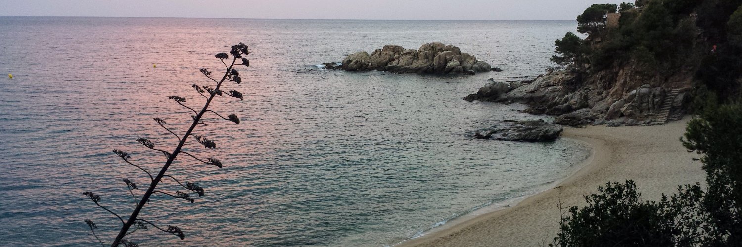 Natàlia de Martín banner