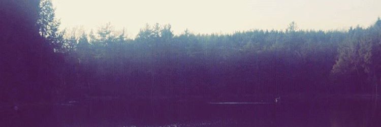 GoldenGoodies11's profile banner image