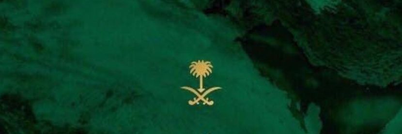 AreejWazeer's profile banner image