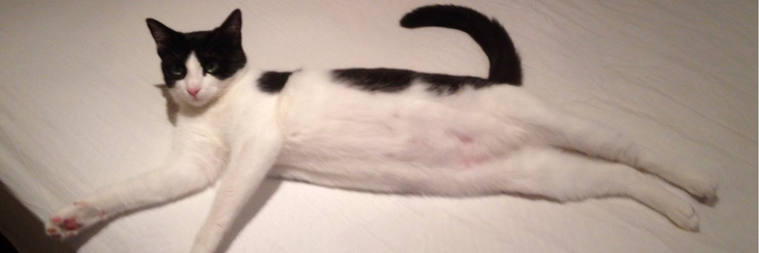 LlumPar's profile banner image